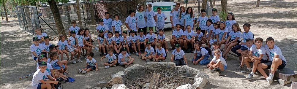 Campamento Perthes 2023