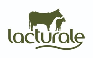 Lacturale