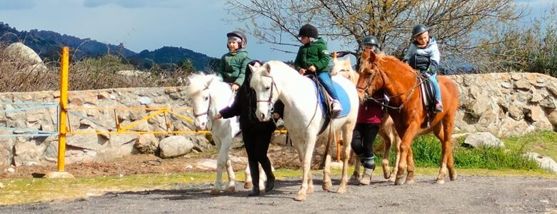 actividad de montar a caballo con Perthes