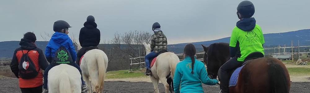 Actividad con caballos para niños con Perthes