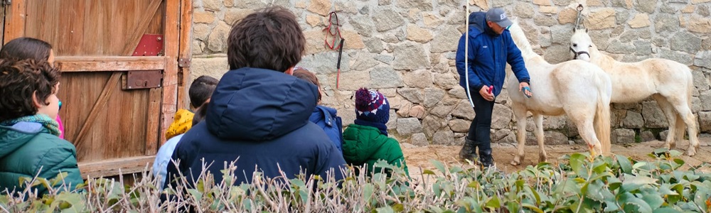 Niños con Perthes aprendiendo a tratar a los caballos