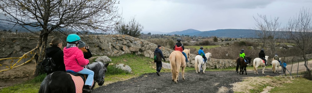 Actividad con caballos para niños con Perthes ASFAPE - Madrid