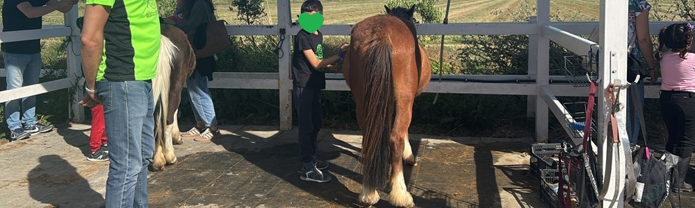 Equinoterapia y Perthes