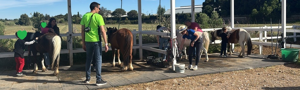 Conocer a los caballos y cómo asearlos
