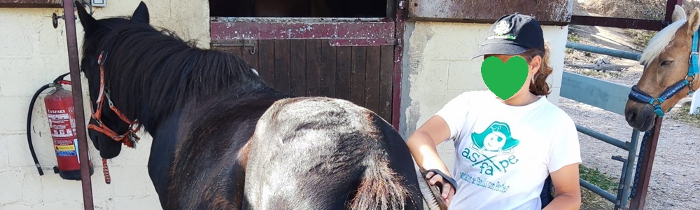 Cómo limpiar los caballos