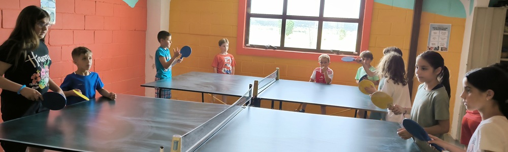 Ping Pong
