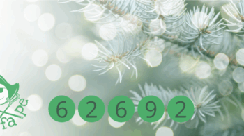 LOTERIA DE NAVIDAD DE ASFAPE por la enfermedad de Perthes