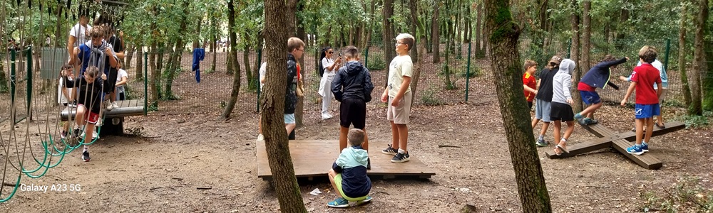 Actividades del campamento ASFAPE