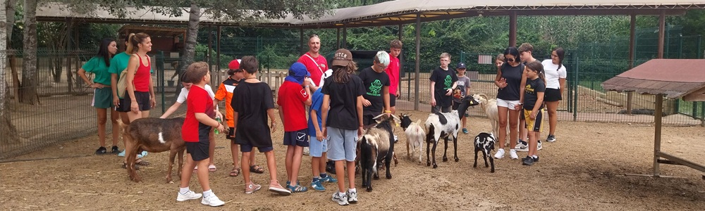 ASFAPE 2025 campamento en Santa María de Palautordera