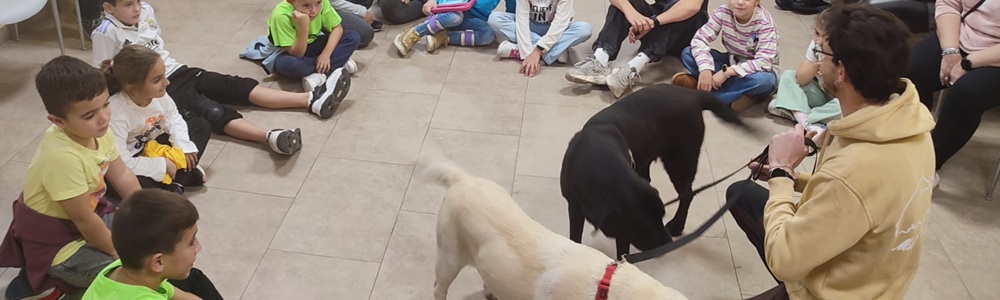 Terapia con animales en enfermedad de Perthes