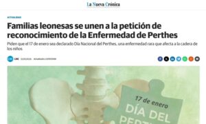 DIA DEL PERTHES 2026 - La nueva crónica León
