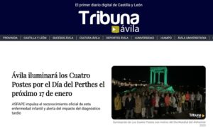 Día del Perthes 2026 - Tribuna de Ávila