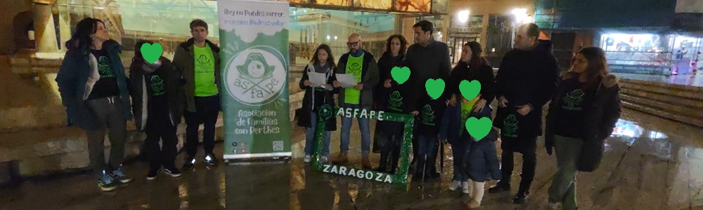 Dia del Perthes 2026 - Zaragoza