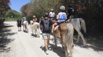 Actividad con caballos en Valencia 2026