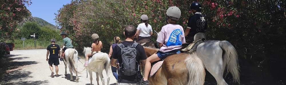 14 de junio equinoterapia y Perthes en Gandía