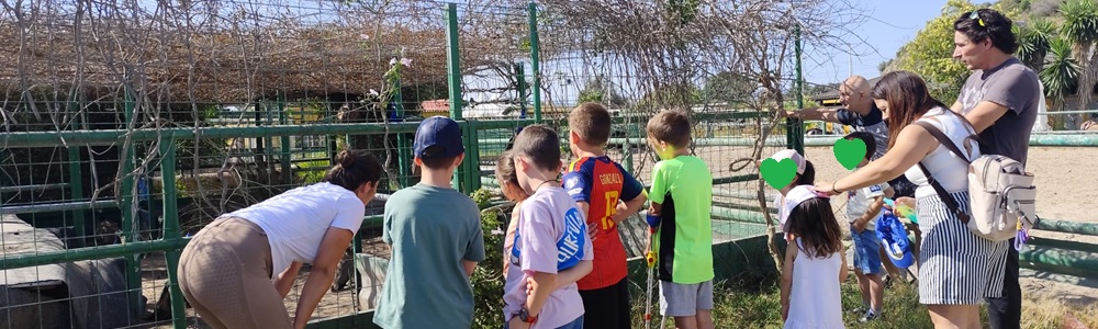 Actividad para niños con Perthes en Valencia 2026