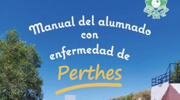 Manual de colegios 2026